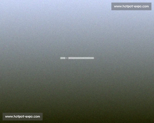 皮奥留队 + 博尼加盟，国米锋线青春风暴终结霍伊伦追逐